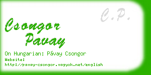 csongor pavay business card