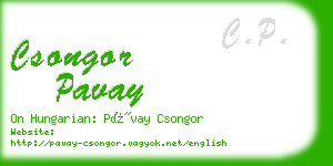 csongor pavay business card